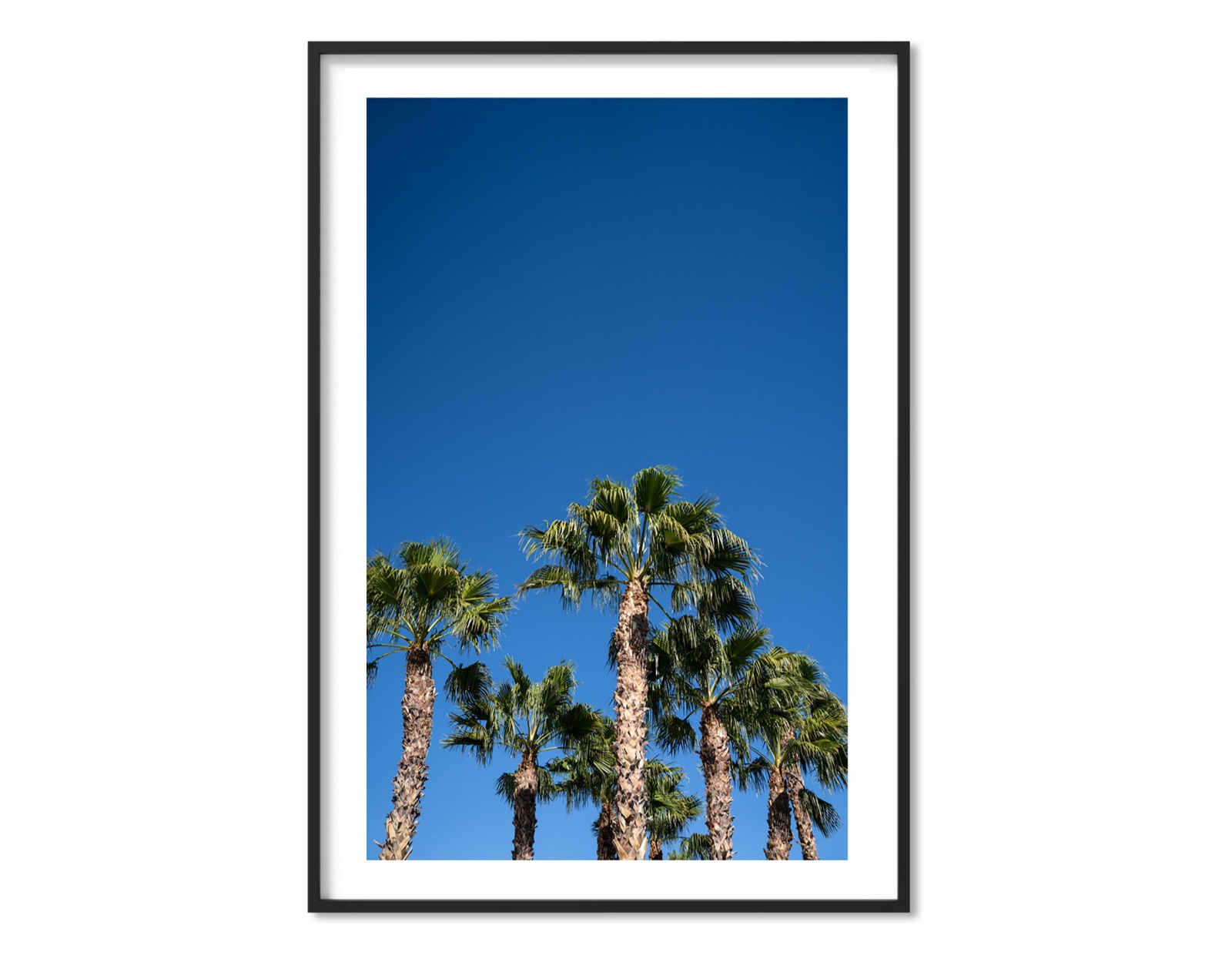 Fine art photography print &mdash; 06